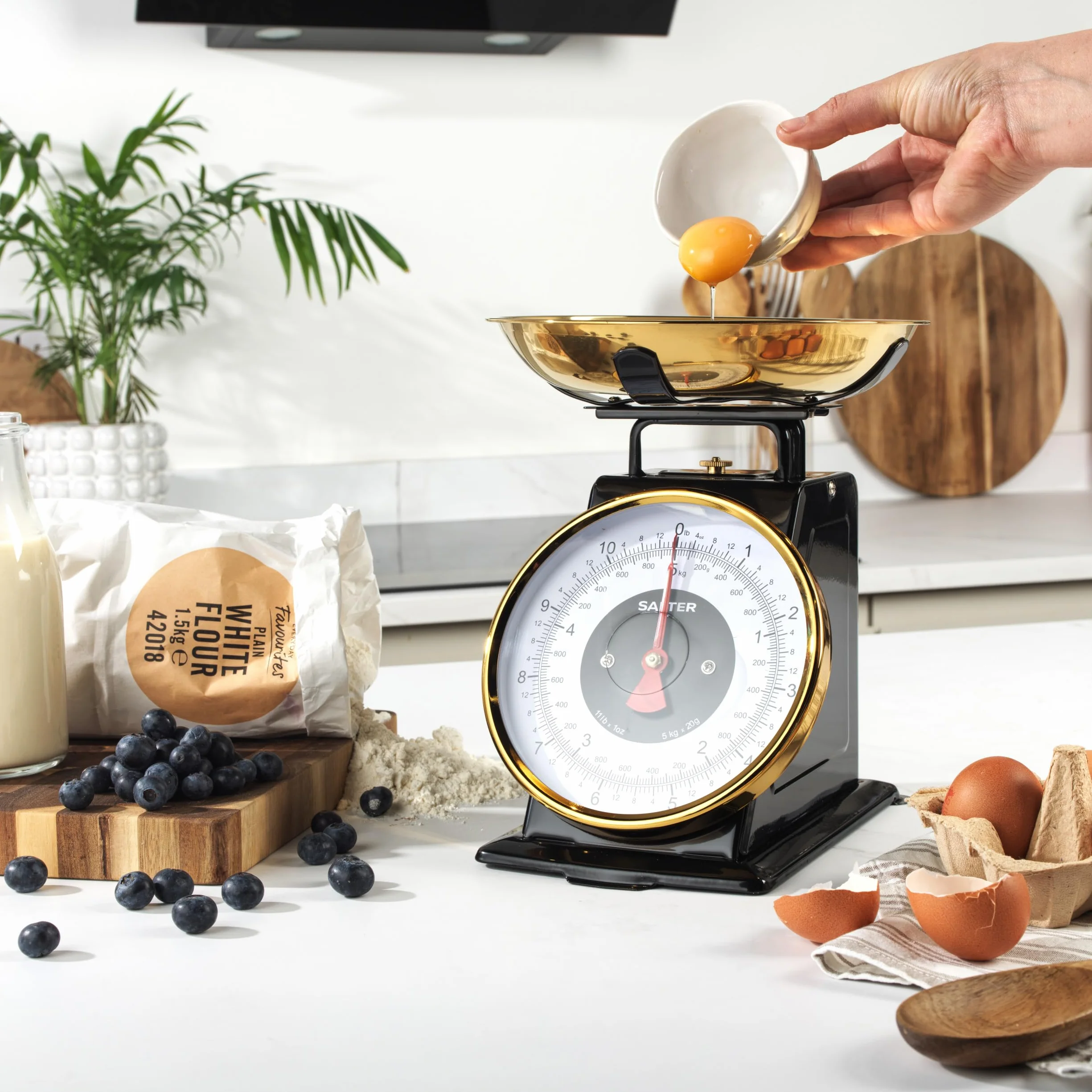 Salter Timeless Bilancia da cucina meccanica 5 kg acciaio inox 1 litro incrementi 20 g cifre grandi nero oro