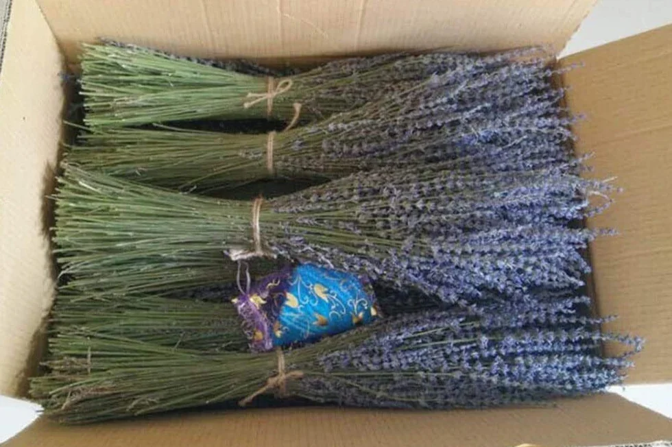 TooGet Flores de Lavanda Secas e Naturales, 400+ Tallos (40-45cm) per Decorazione del Casa, Regali, Nozze o Qualunque Occasione