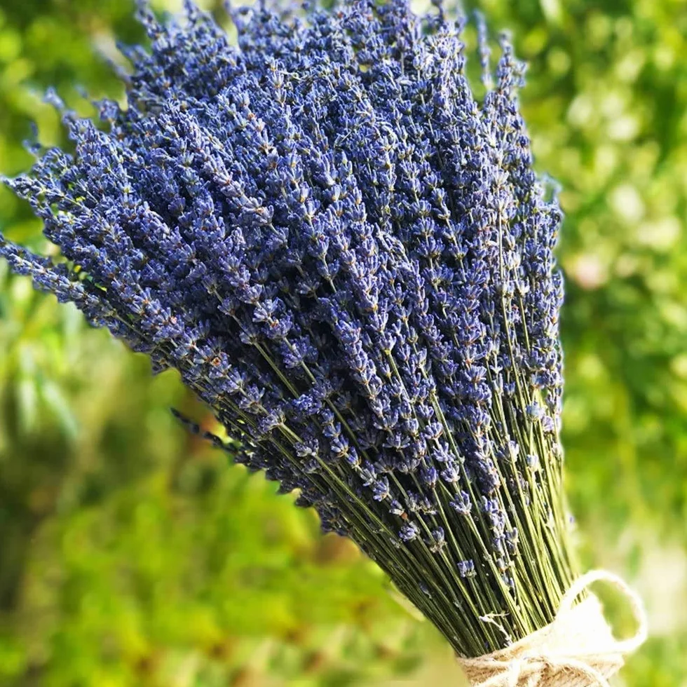 TooGet Flores de Lavanda Secas e Naturales, 400+ Tallos (40-45cm) per Decorazione del Casa, Regali, Nozze o Qualunque Occasione
