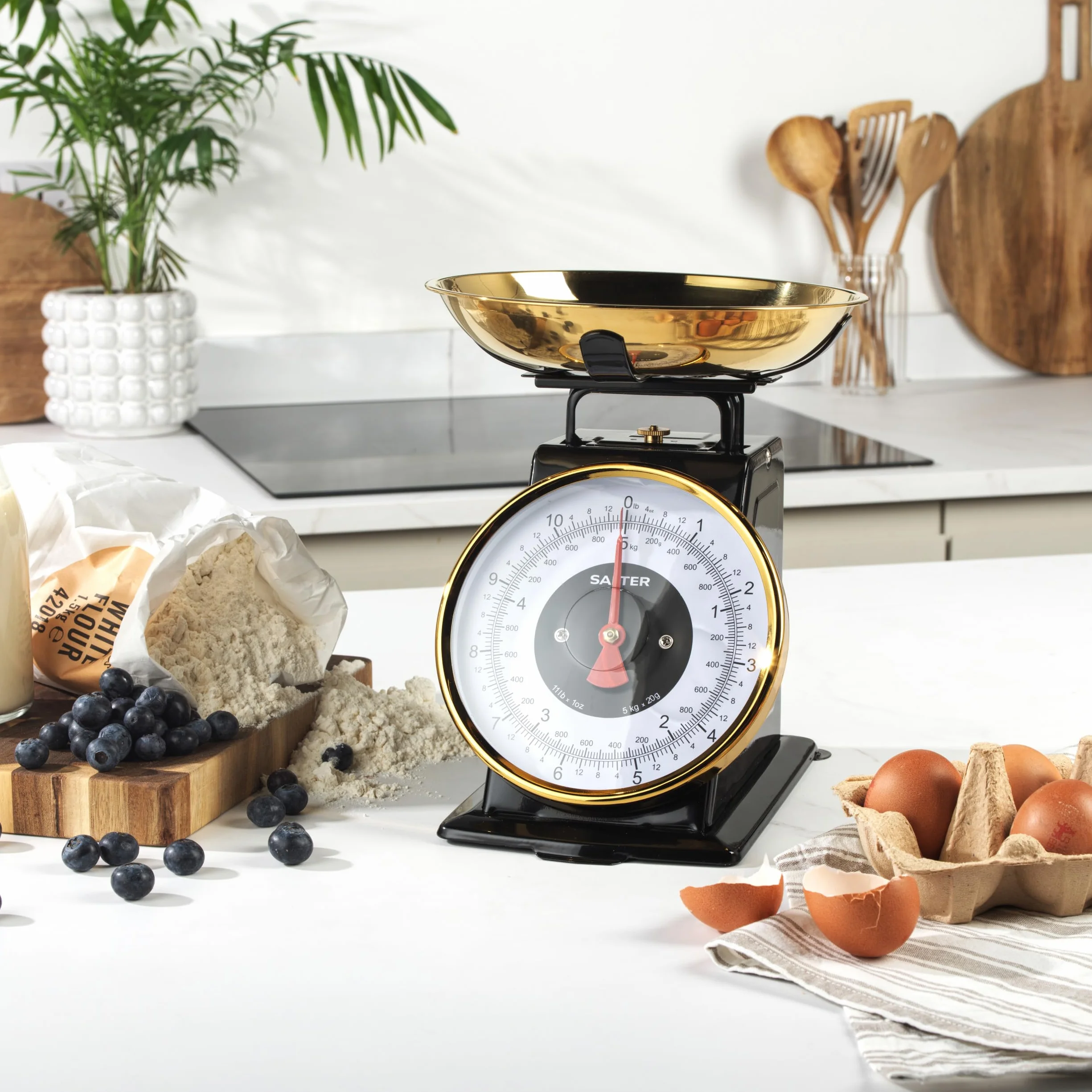 Salter Timeless Bilancia da cucina meccanica 5 kg acciaio inox 1 litro incrementi 20 g cifre grandi nero oro