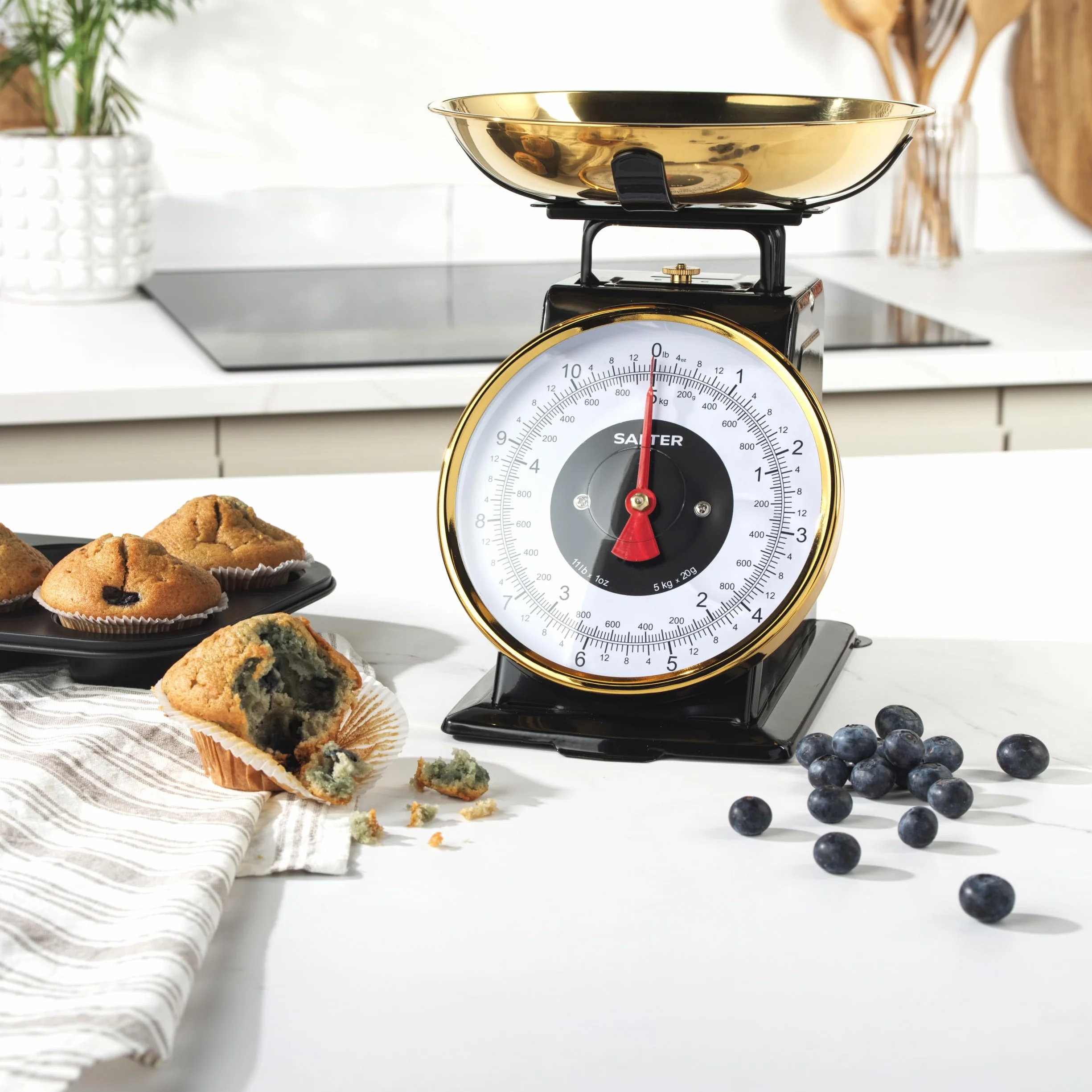 Salter Timeless Bilancia da cucina meccanica 5 kg acciaio inox 1 litro incrementi 20 g cifre grandi nero oro