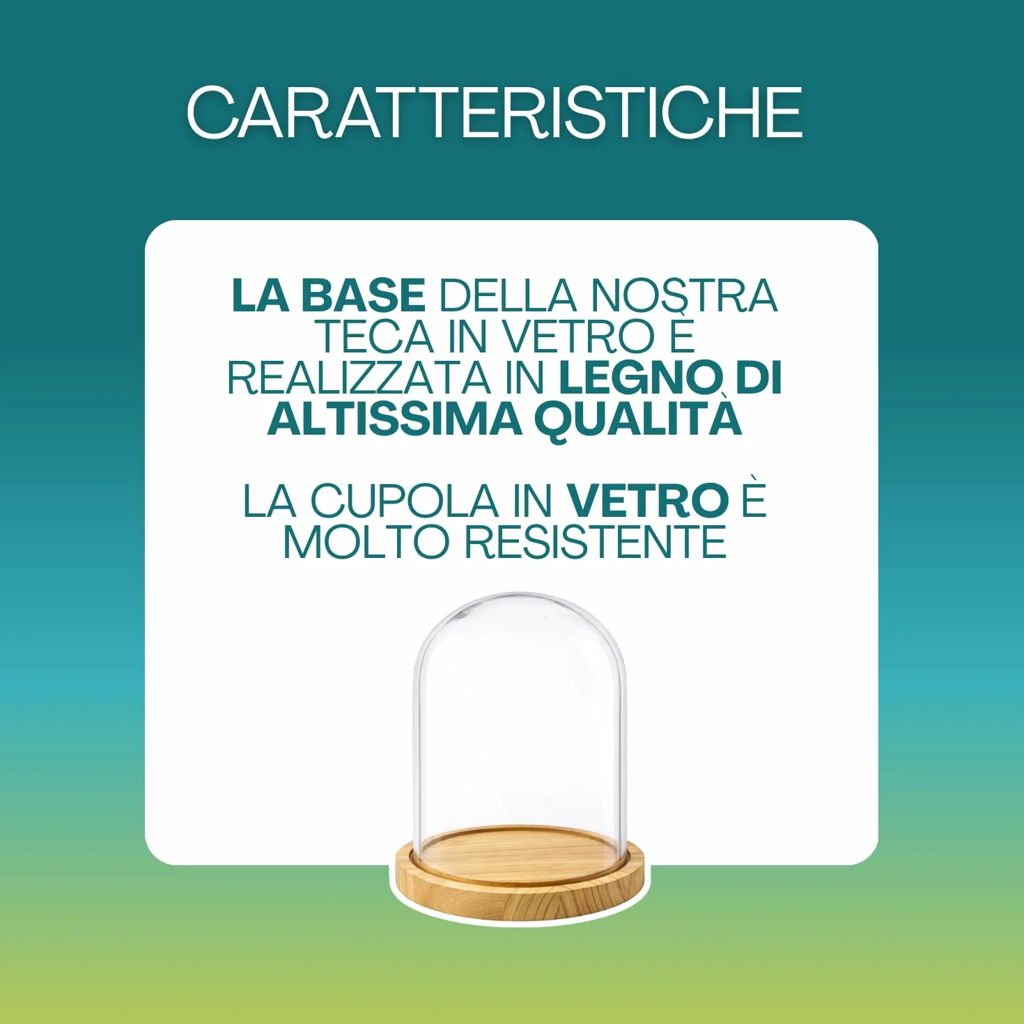 PALUPLUS Campana in Vetro con Base in Legno, Teca in Vetro Trasparente, Espositore per oggetti, composizioni floreali e luci, oggetto decorativo per la tua casa -953M -2,1 (17x25 cm)