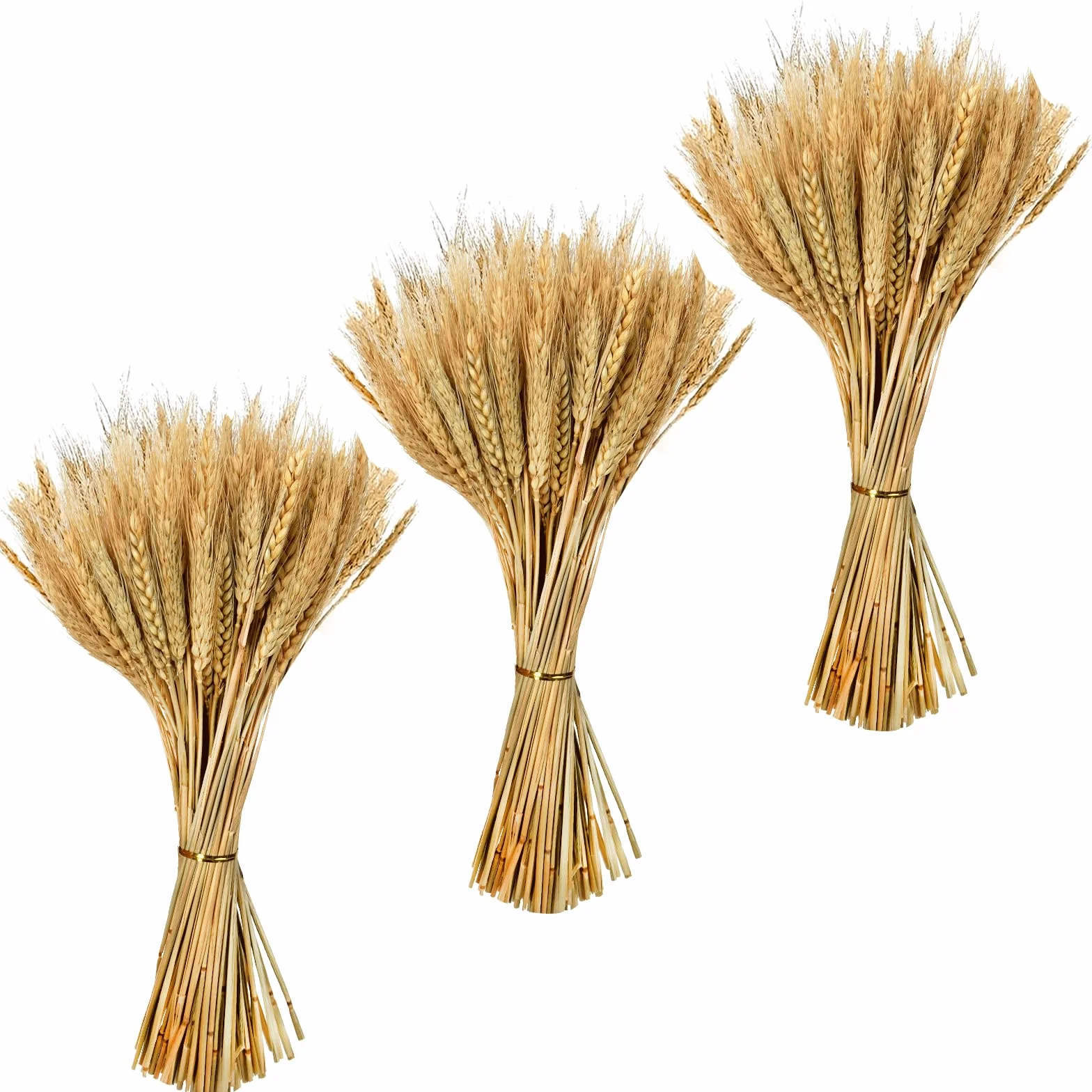 300 Pezzi Spighe di Grano Decorative Fiori Secchi per Decorazione Casa Matrimonio