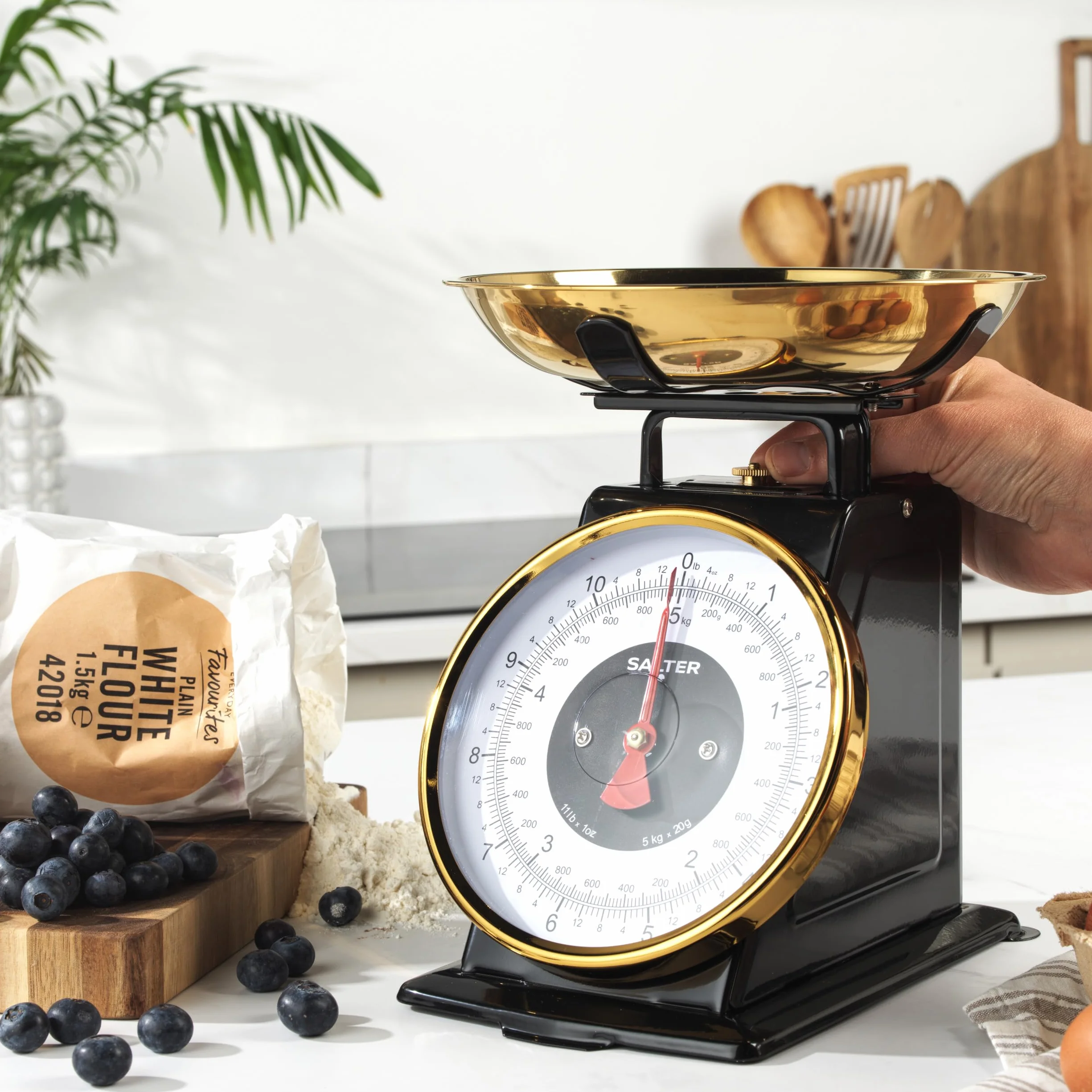 Salter Timeless Bilancia da cucina meccanica 5 kg acciaio inox 1 litro incrementi 20 g cifre grandi nero oro