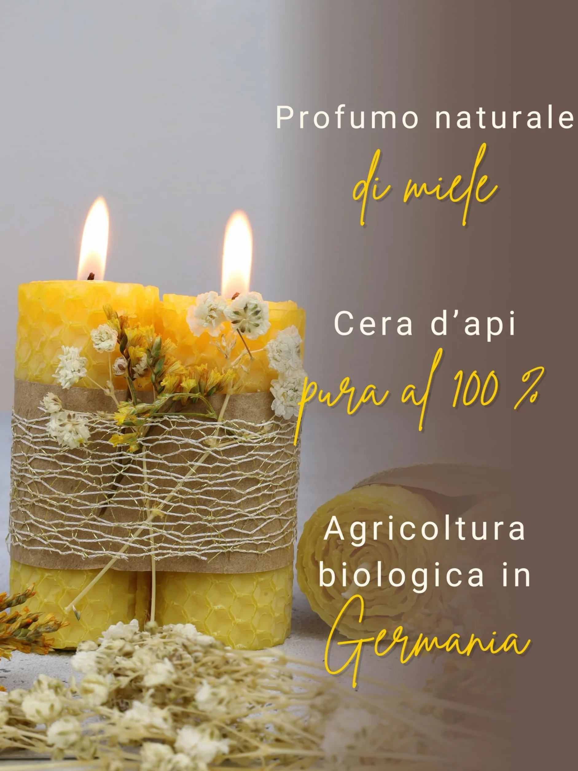 Wachsmann Cera d'api pura 100% Made in Germany fogli divisori per candele fai da te apicoltori