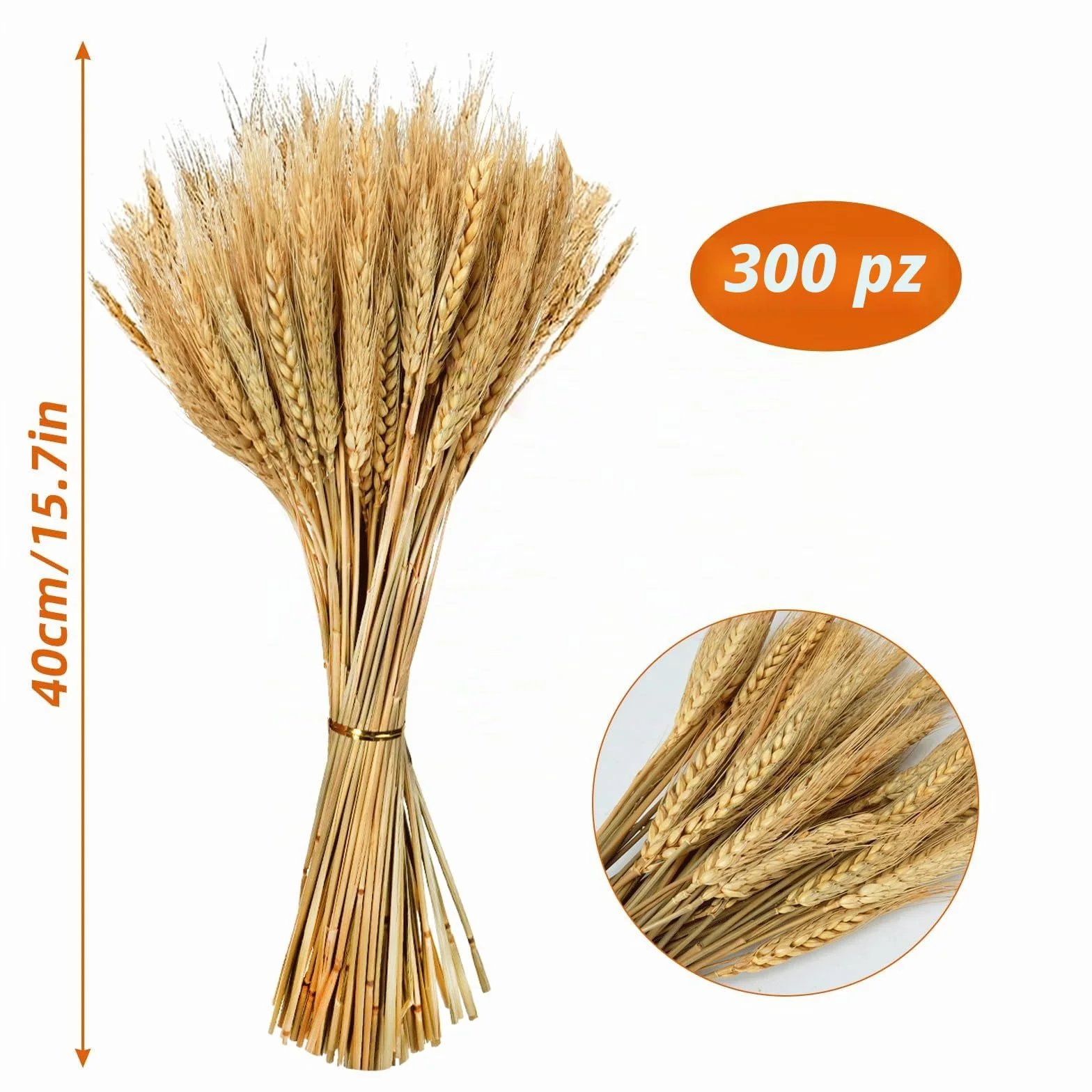 300 Pezzi Spighe di Grano Decorative Fiori Secchi per Decorazione Casa Matrimonio