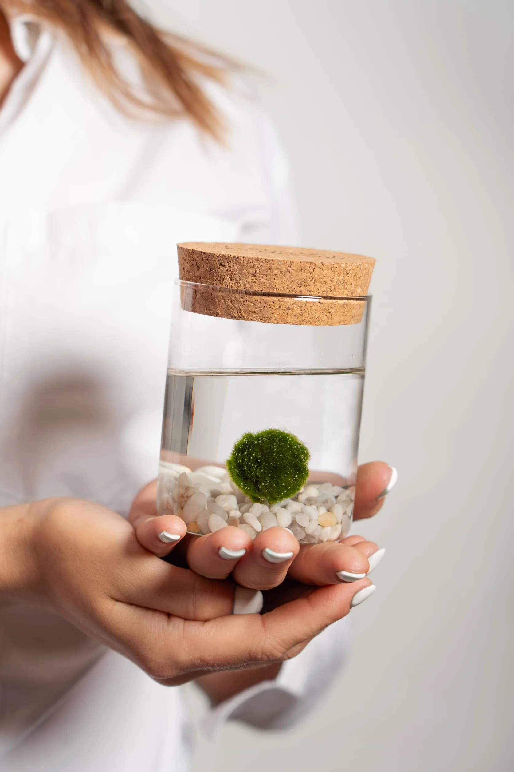 KAKI La Felicità è Nelle Piccole Cose Marimo Coppia Originale Vaso Vetro Tappo Sughero Diametro 8cm Altezza 11cm Made in Italy