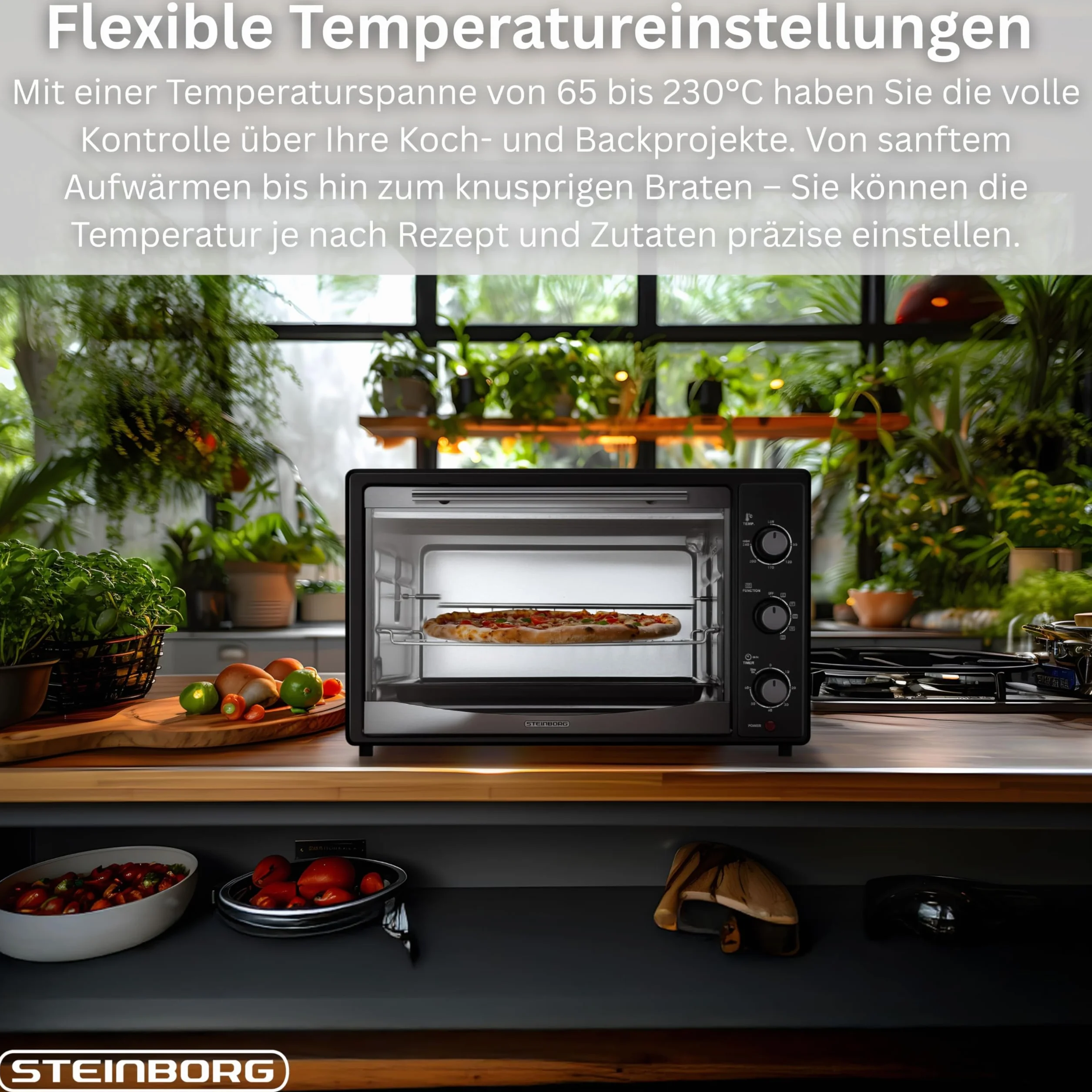 Steinborg Mini forno elettrico, 45 l, con calore girevole e girarrosto, mini forno a convezione, girarrosto, 1800 W, forno per pizza, forno per pizza, con illuminazione interna, piano cottura e