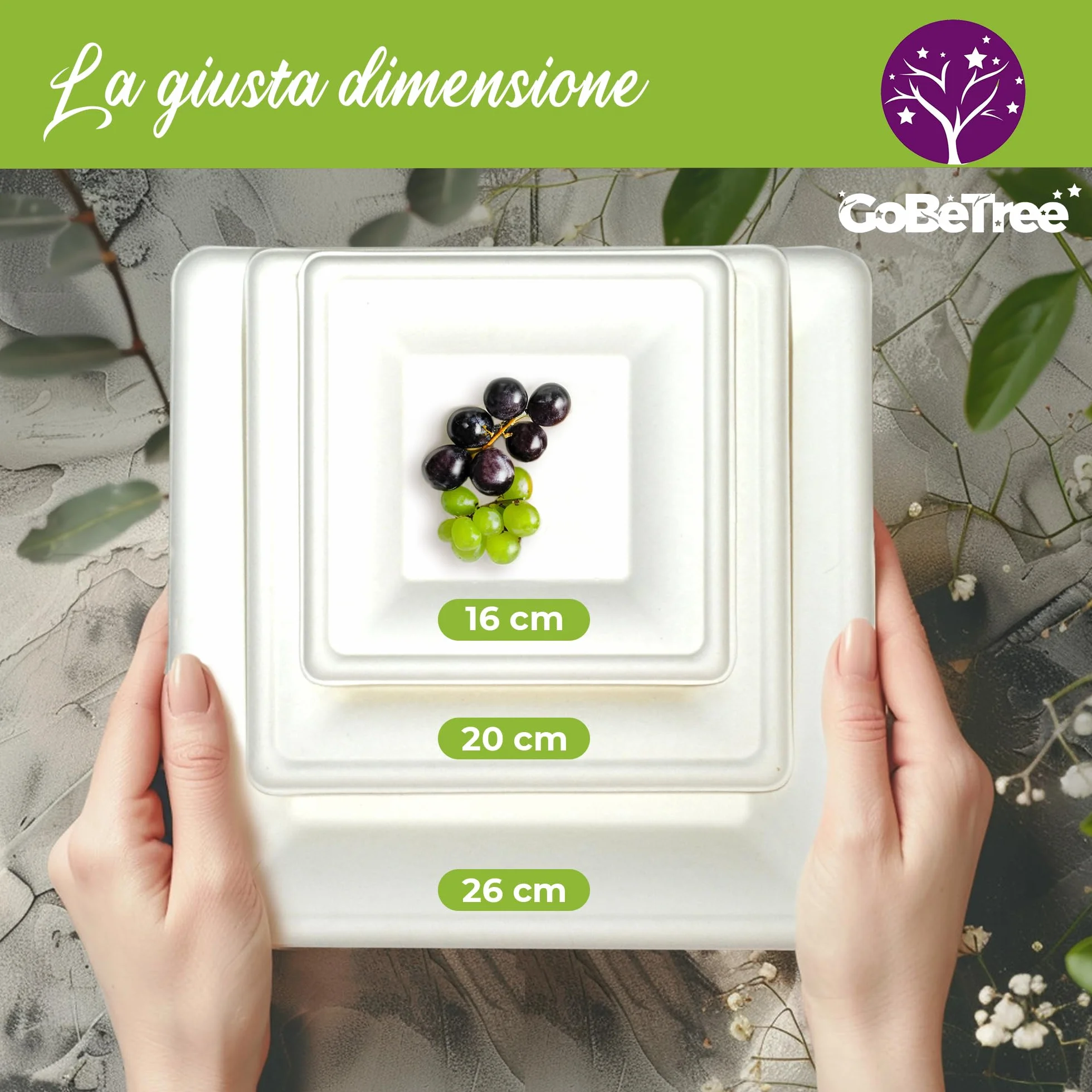 GoBeTree 100 piatti quadrate in canna da zucchero 20 cm bianchi monouso extra resistenti