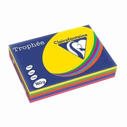 Risma carta A4 500 fogli 5 colori tinte forti