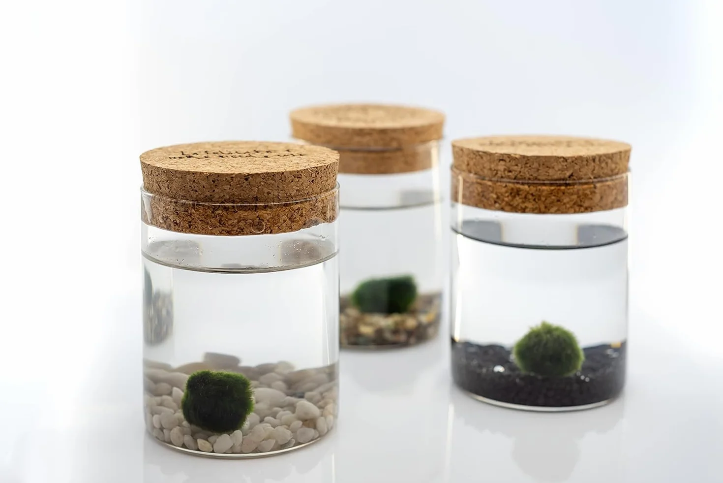 Marimo Coppia Originale Vaso Vetro con Tappo Sughero Diametro 8cm Altezza 11cm Made in Italy