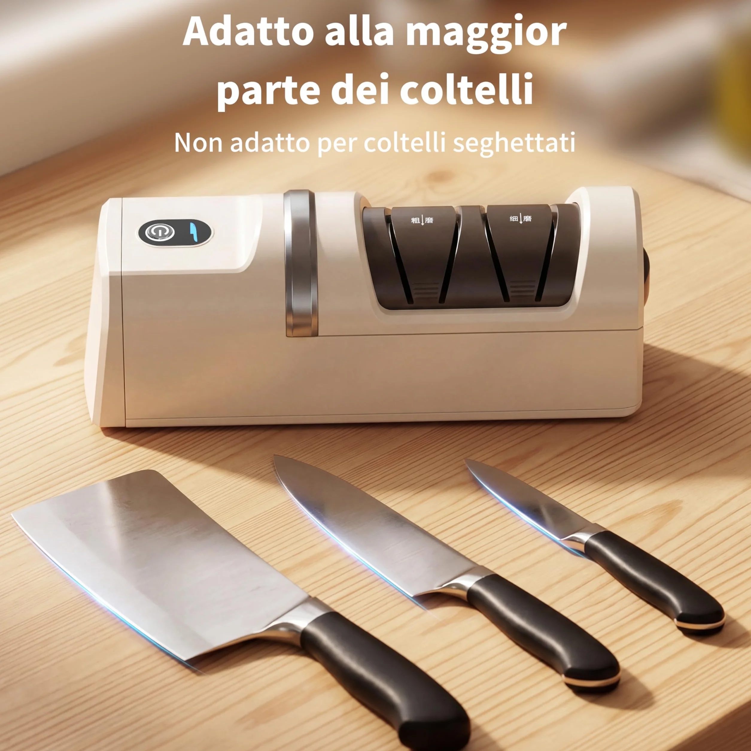 Affilacoltelli elettrico 5 in 1 3 velocità, ricaricabile con diamante per affilatura grossolana e fine