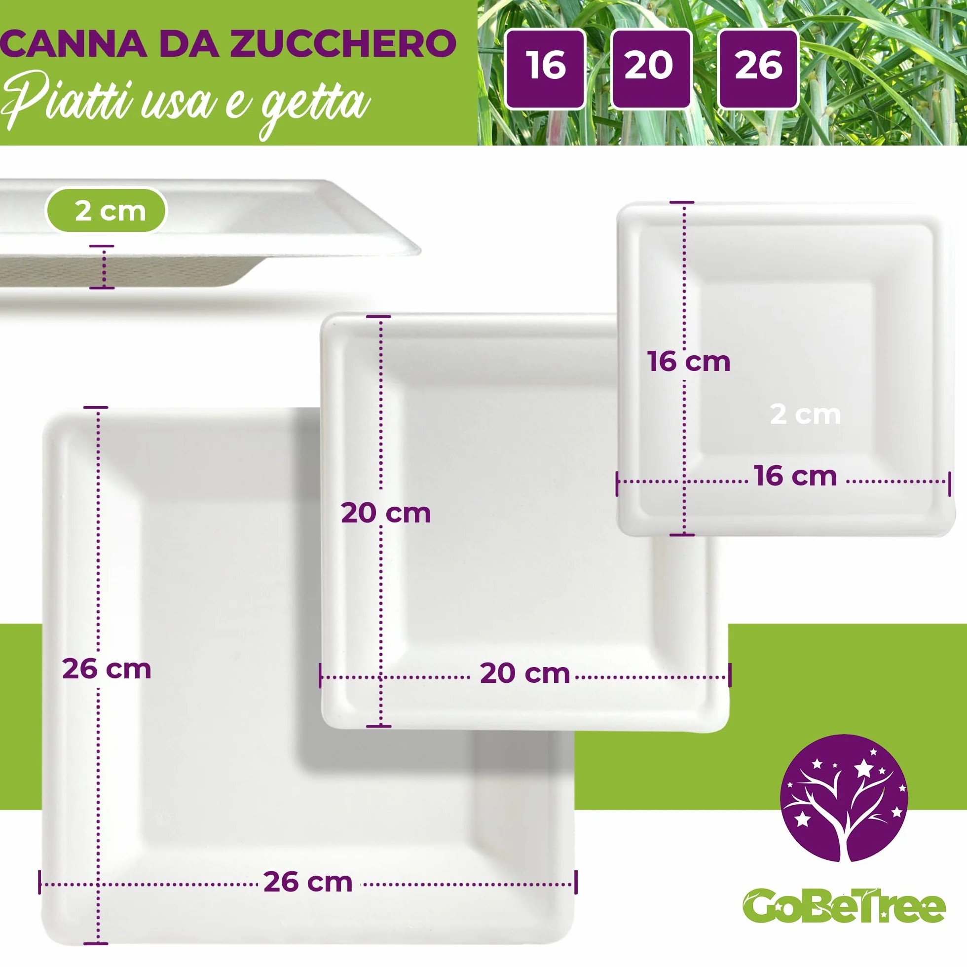 GoBeTree 100 piatti quadrate in canna da zucchero 20 cm bianchi monouso extra resistenti