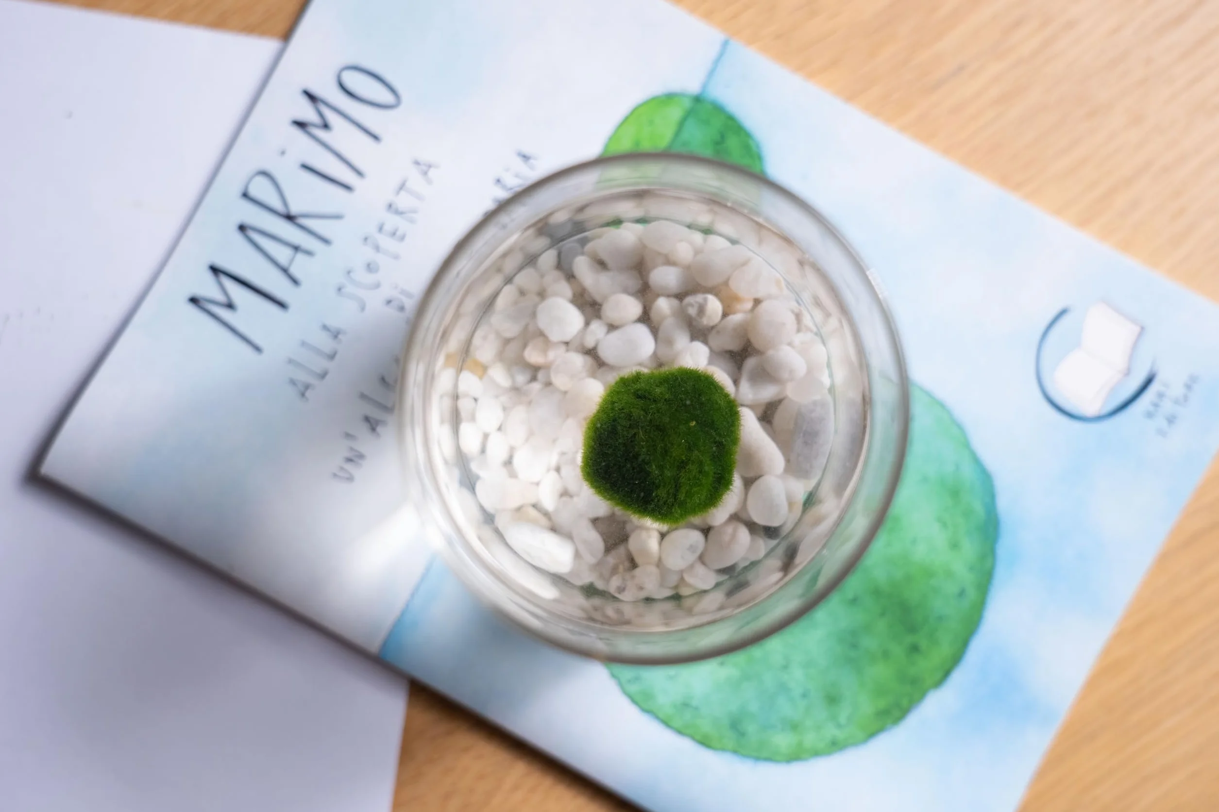 KAKI La Felicità è Nelle Piccole Cose Marimo Coppia Originale Vaso Vetro Tappo Sughero Diametro 8cm Altezza 11cm Made in Italy