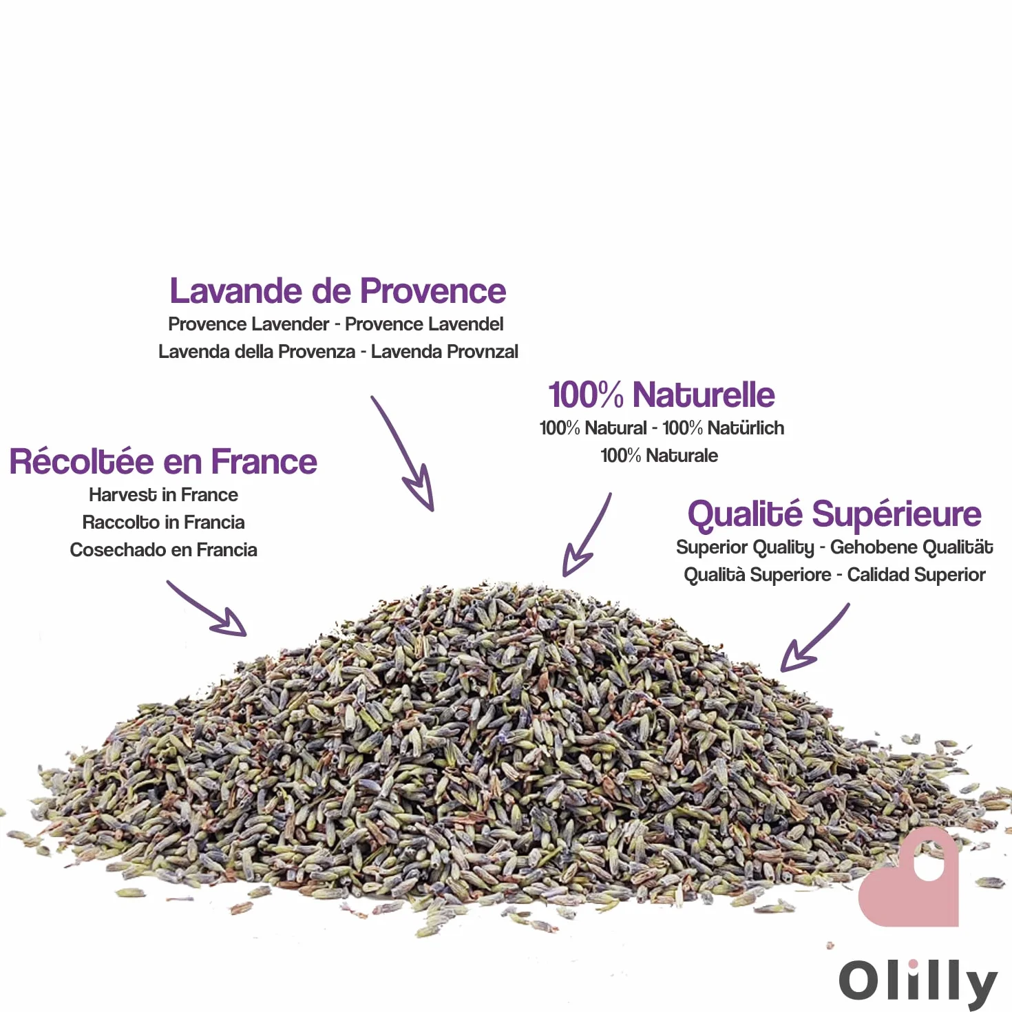 OLILLY Raccolta 2025-500 Grammi - Fiori di Lavanda Essiccati di Provenza (Lavandin Grosso, 500 Grammi)