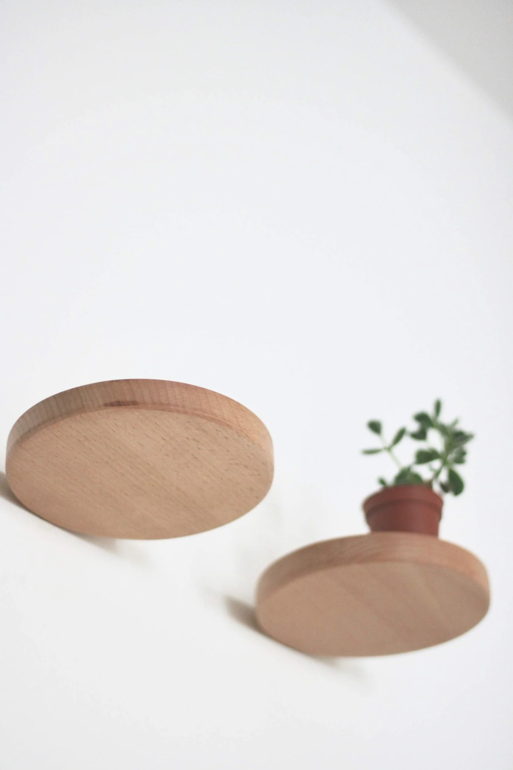 Scaffali da Parete Rotondi Galleggianti Decorazione Pannelli Legno Design Moderno Confezione da 2 Ø15 cm
